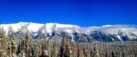 The Swan Range