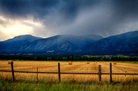 Harvest Before the Storm