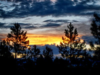 Blended Sunrise