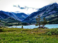 Swift River Journey