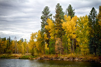 Early Fall Colors