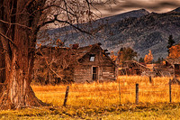 Still Standing