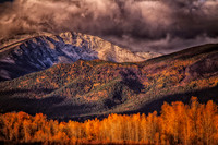 The Transitions of Seasons