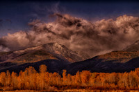 Storm Brew in Bass Creek