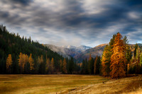 Headed to Elk Meadows