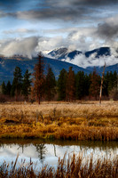 Seasonal Reflection