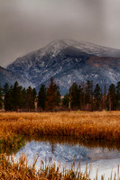 Quiet Reflection
