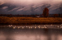 Layover in Montana