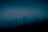 Cooney Ridge Blues