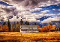 Golden Days of Fall