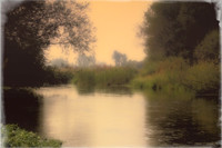 Mitchell Slough