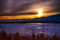 Winter's Soft Embrace