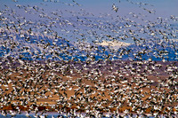 Big Sky Landing Zone